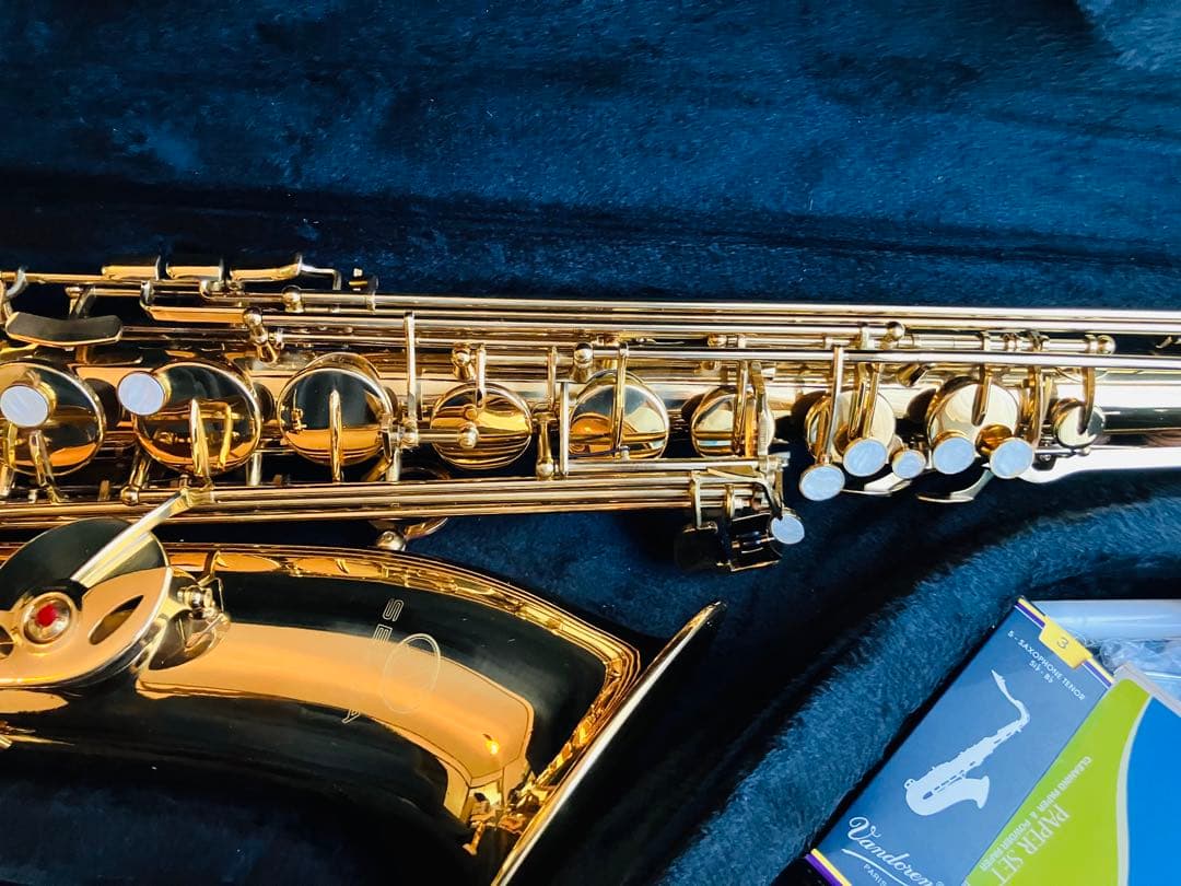 Selva テナー サックス 美品 付属品多数 セット　未使用級