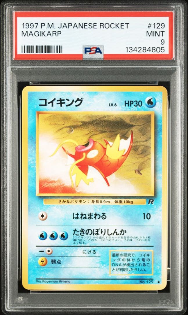 カツラのヒトカゲLV.16 ● : 旧裏 [PMCG-G2 No.004]第2弾