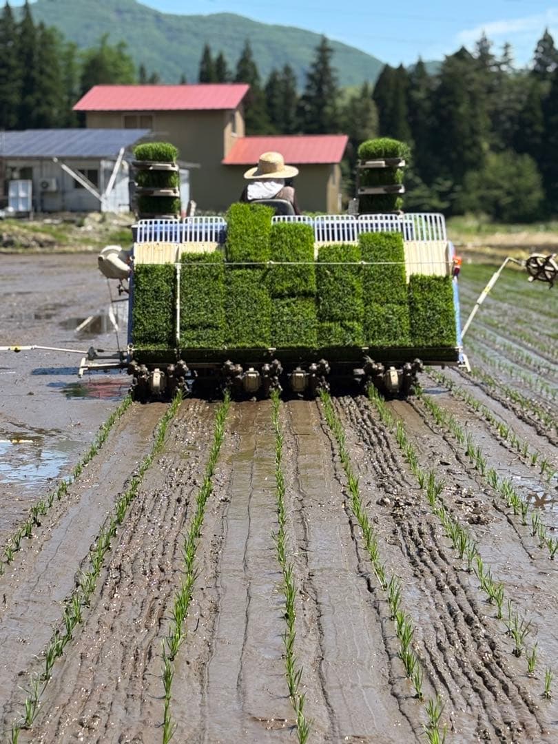 山形県産最上ほたる米　農家直送つや姫精米10kg