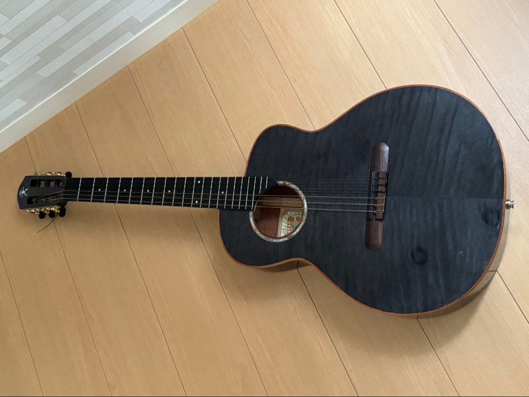 ギター aNueNue/aNN-LN77E