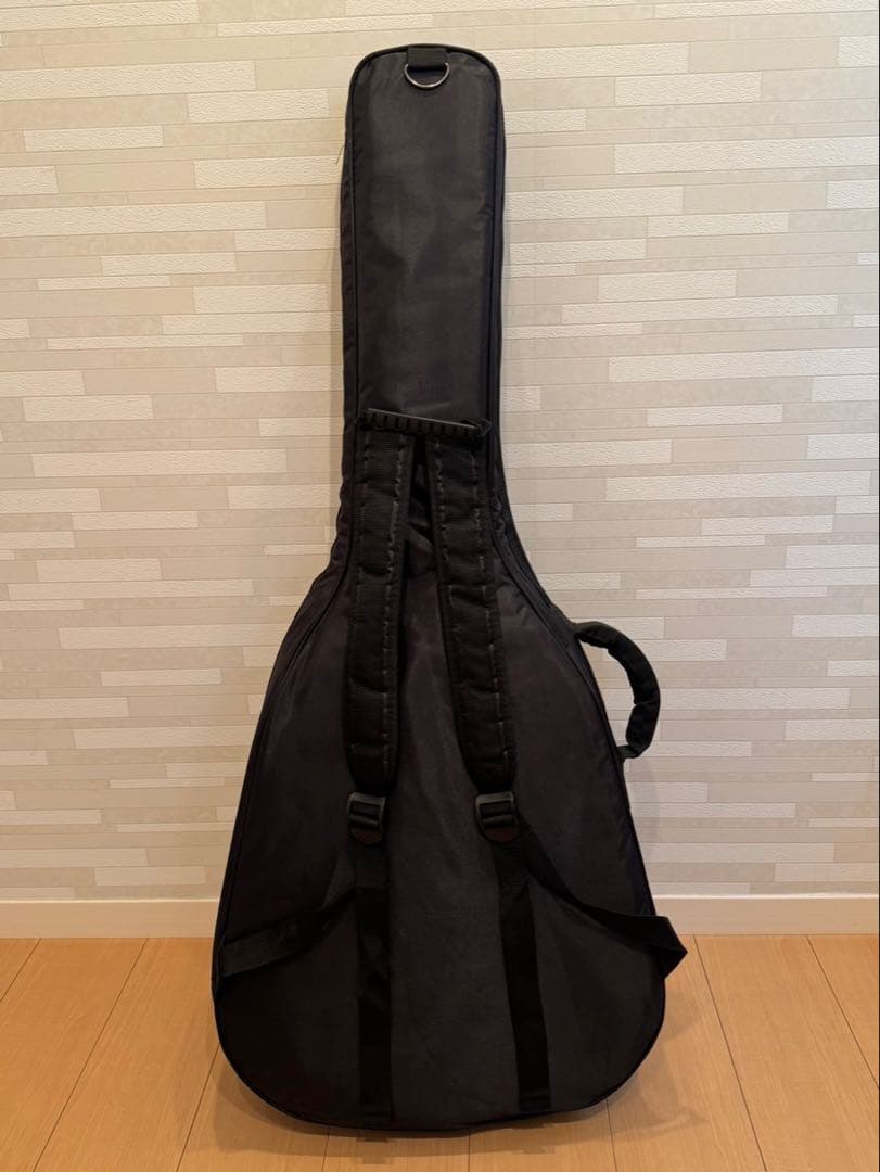 ギター aNueNue/aNN-LN77E