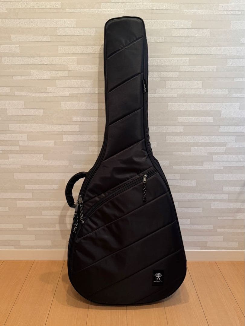 ギター aNueNue/aNN-LN77E