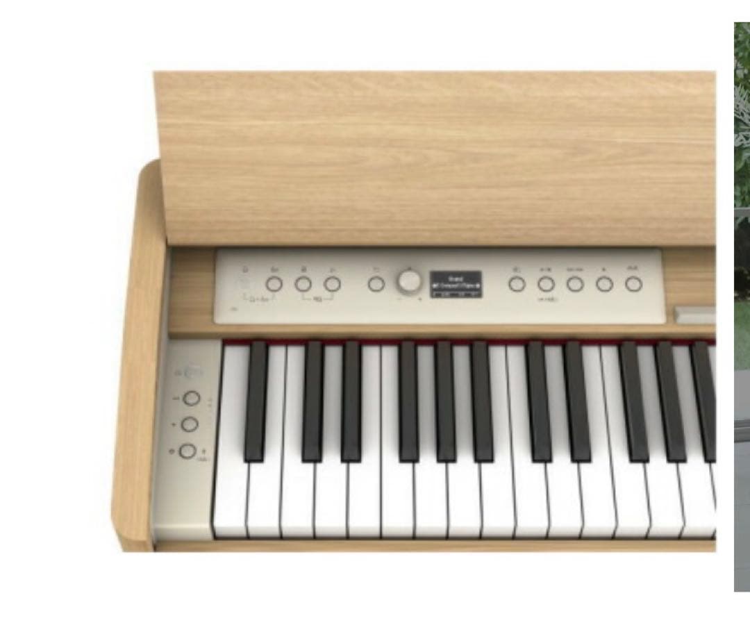 2025年製12月購入ほぼ新品送料込みローランドRoland F701-LA