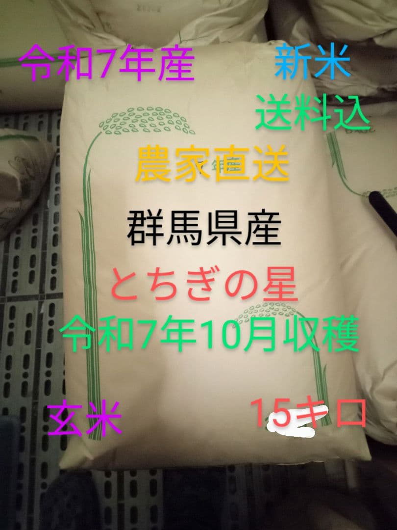 R7年産 新米 群馬県産 とちぎの星 15キロ 玄米 送料込 15kg ②