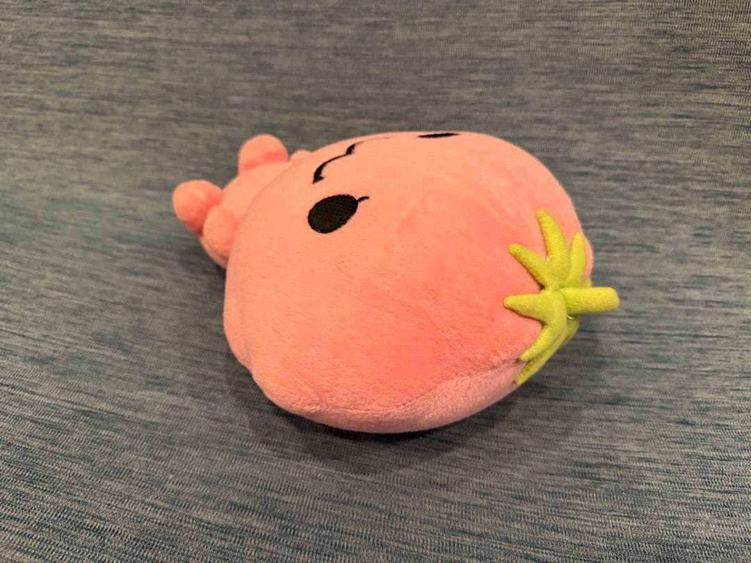 非売品 みかんぼうやとフルーチェメイツ　オリジナルぬいぐるみ　サンエックス