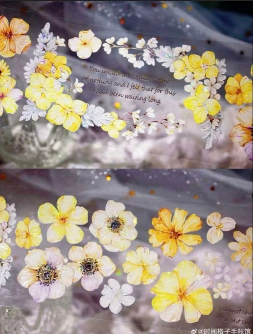 贝壳光 6.5cm×10m 小黄花 海外マスキングテープ　海外マステ　花