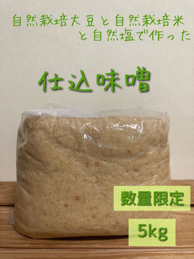 ❁⃘*.゜ぷりごまさま専用❁⃘*.゜仕込味噌 5kg