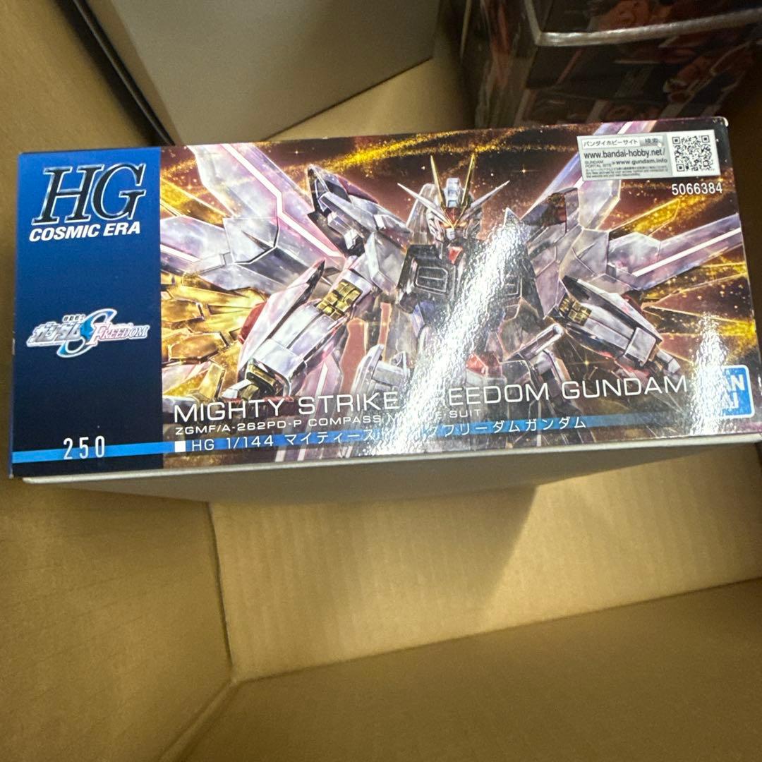 HG SEED 5点セット　ストライクフリーダム　ズゴック　ゲルググメナース