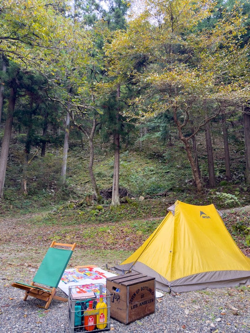 レア MSR TWIN SISTERS ツインシスターズ 専用フットプリント付き