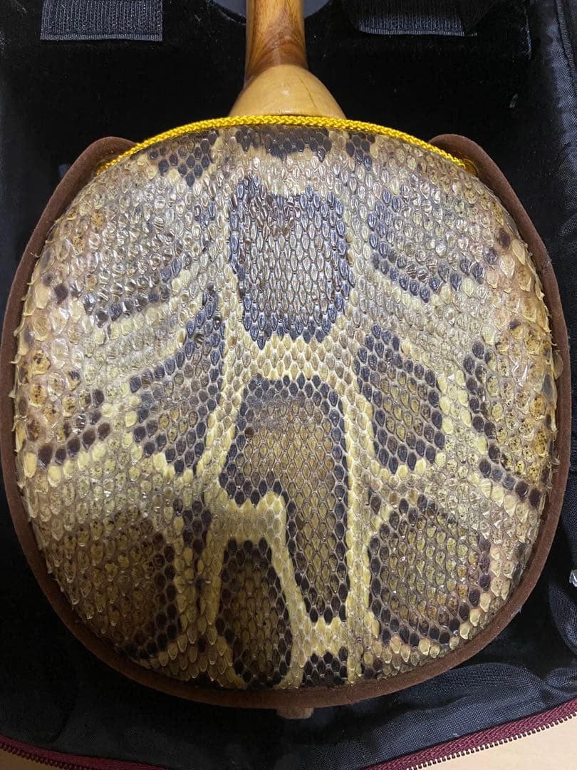 三線 本蛇皮 蛇革 沖縄 楽器【楽譜付き】