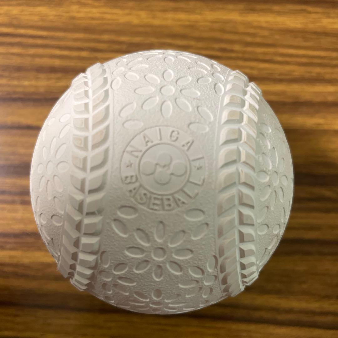 NAIGA テクニカルピッチ J号球 ホワイト