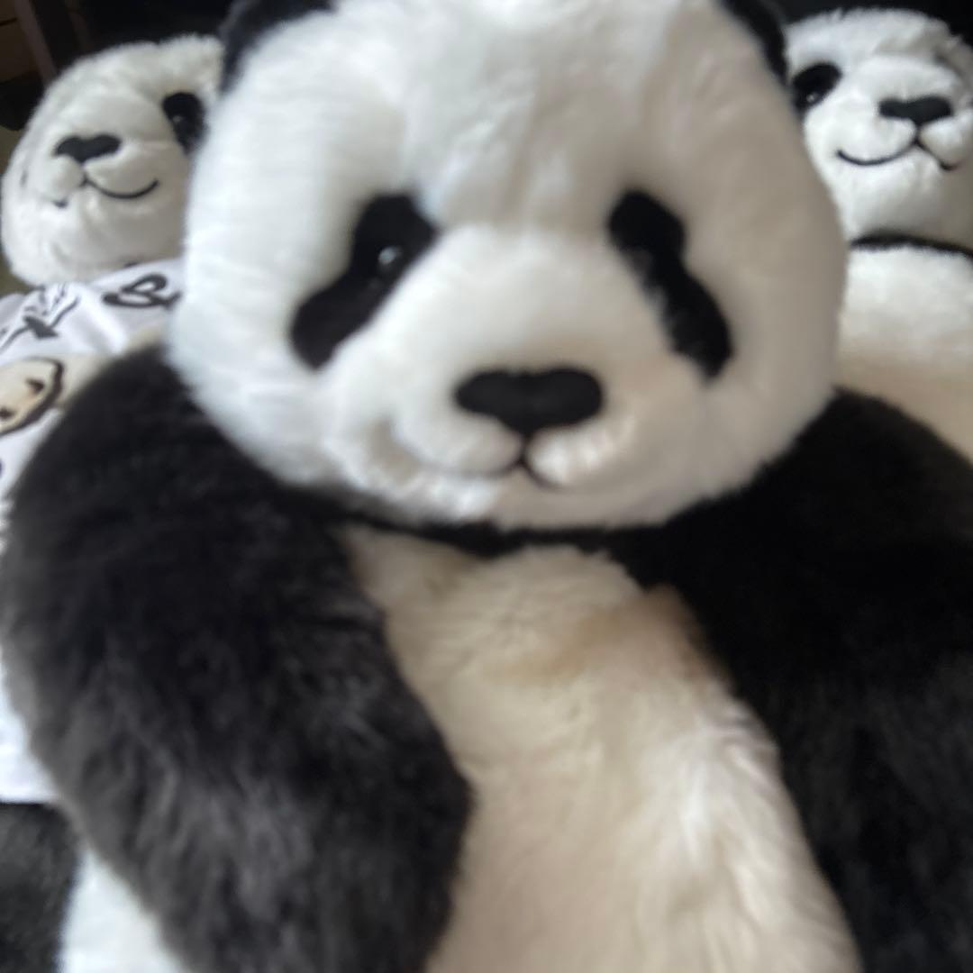 タグ付き♦️初回販売♦️収納袋付き♦️お顔厳選♦️抱っこシャンシャン 上野動物園