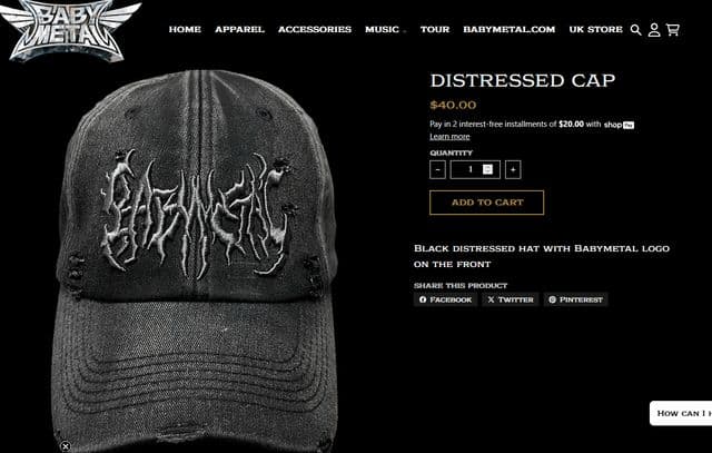 新品未使用！INTUIT 限定 DISTRESSED CAP BABYL