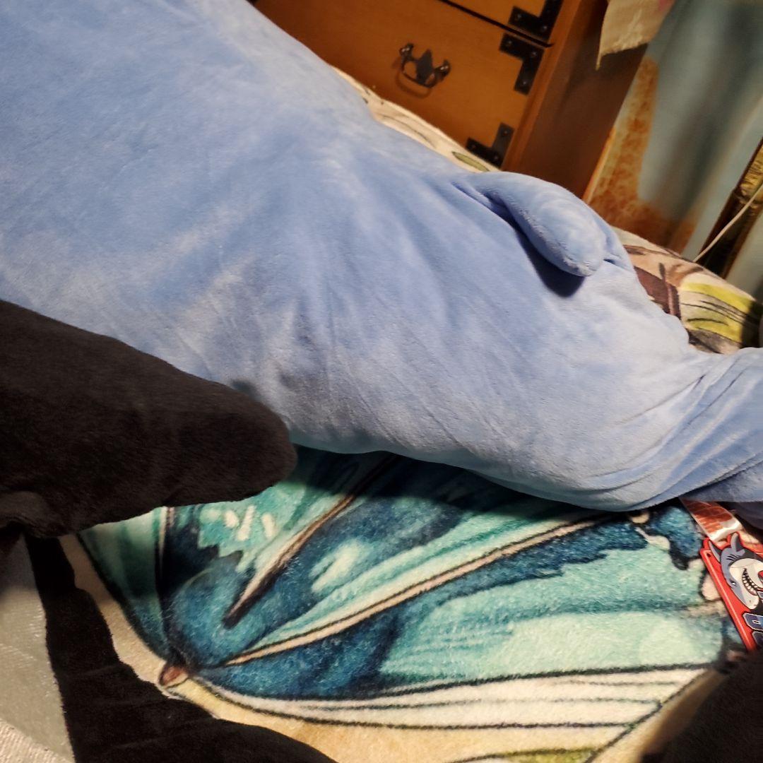 S賞サメとA賞シャチのぬいぐるみセット