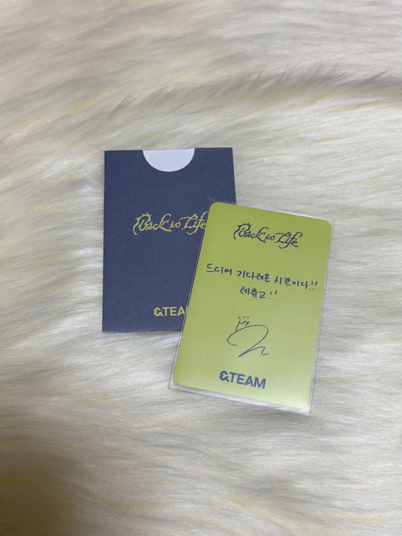 &TEAM K ケイ サノク トレカ Back to Life