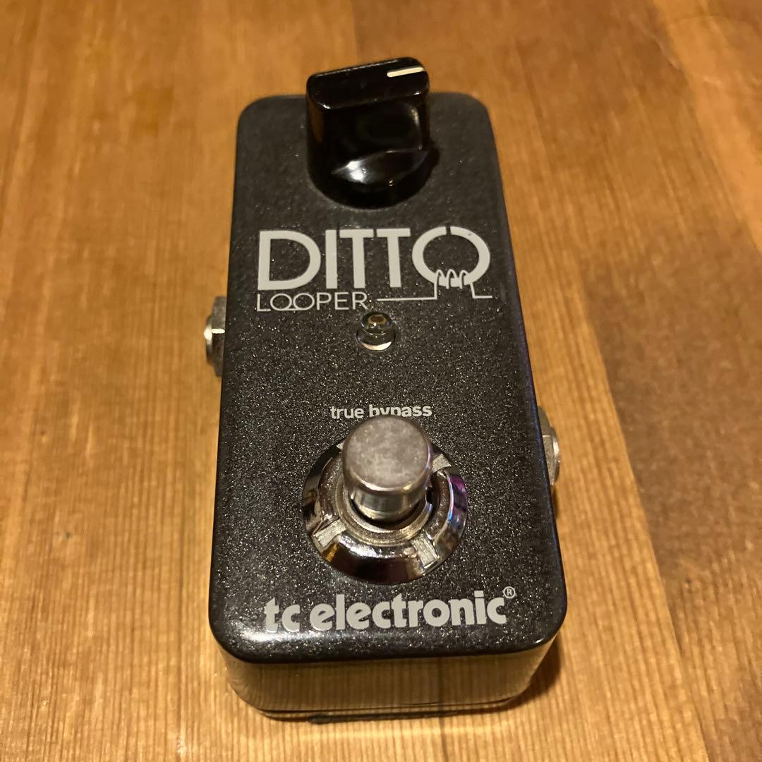 ギター tc electronic Ditto Looper