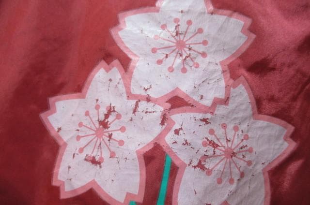 日本代表ラグビー背中ビッグロゴ日本製ナイロンパーカ（桜）カンタベリー