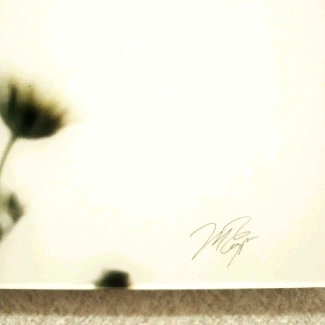 アーティストの証明写真