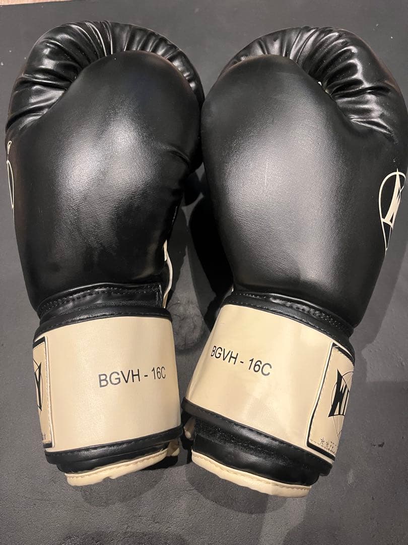 WINDY プロファイトギア & GLOBAL SPORTS グローブセット