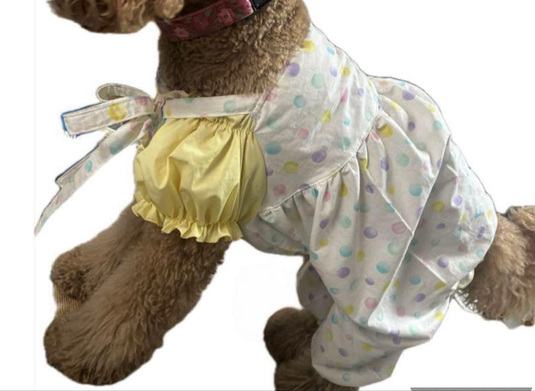 チョッパー様　確認用ページ