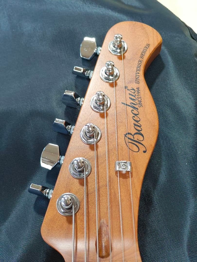 2ヶ月前に購入 新品同様Bacchus テレキャスター ギターケース シールド付