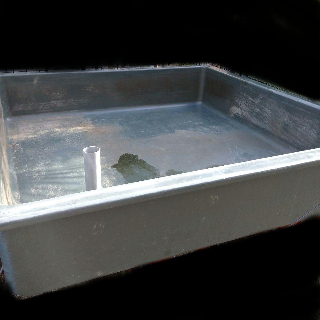 大特価‼️ 最終値下げ‼️ FRP水槽‼️引き取り限定‼️ 紅白約70cm‼️