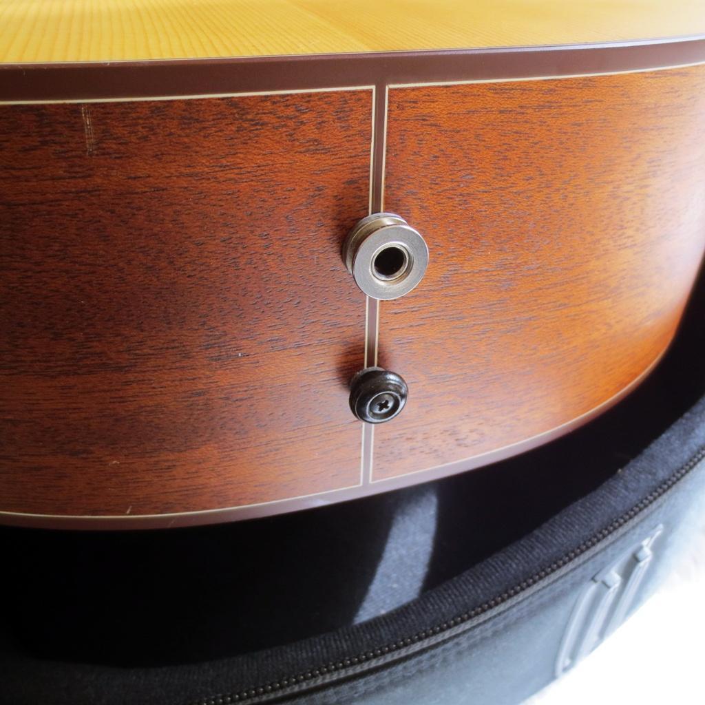 軽量で弾きやすいエレアコのマレーシア発ブランド\"エル・ルシアー\"