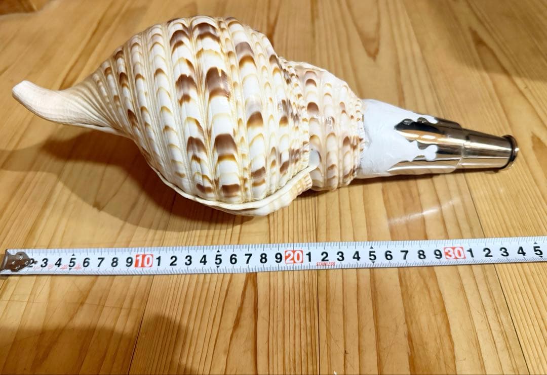 修験道法螺貝　山伏　密教　熊よけ　魔除け❣️ほら貝　ホラガイ