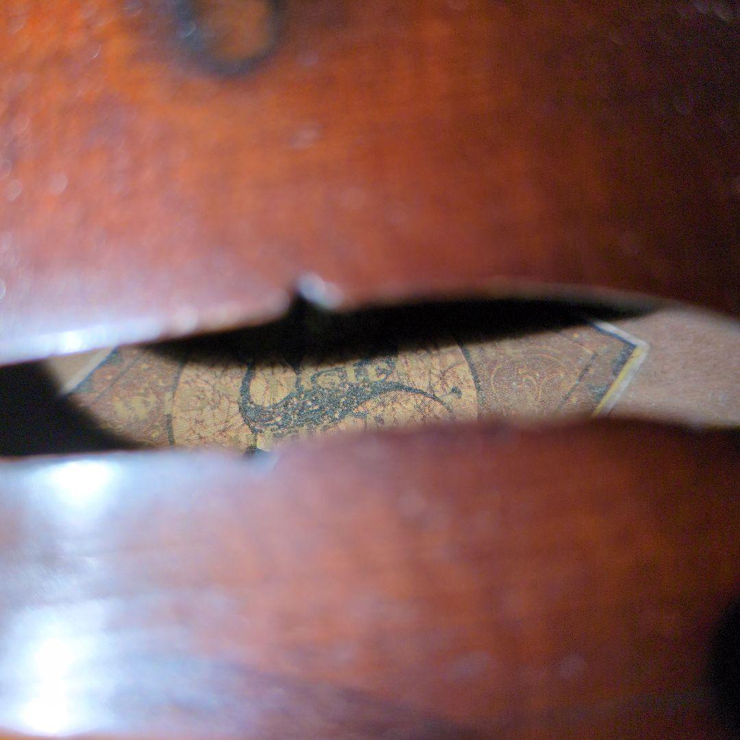 バイオリン本体　オーストリア　楽器