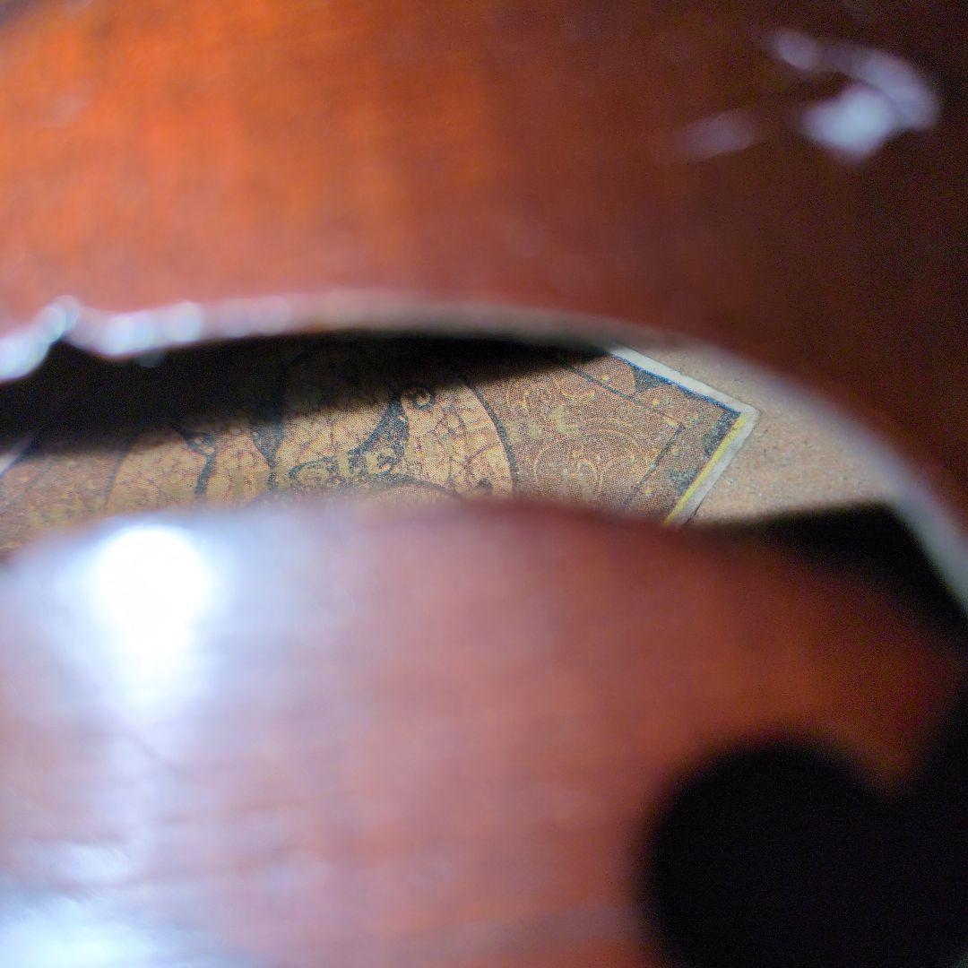 バイオリン本体　オーストリア　楽器