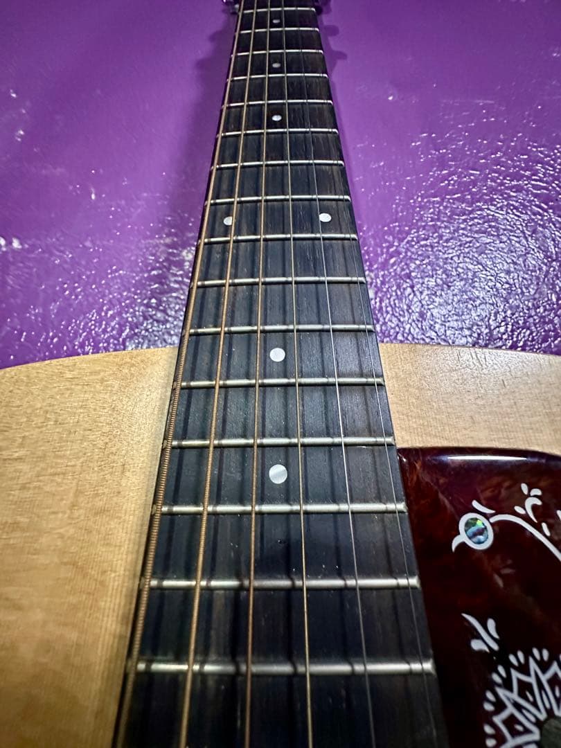 Taylor Academy 10e エレアコ アコースティック