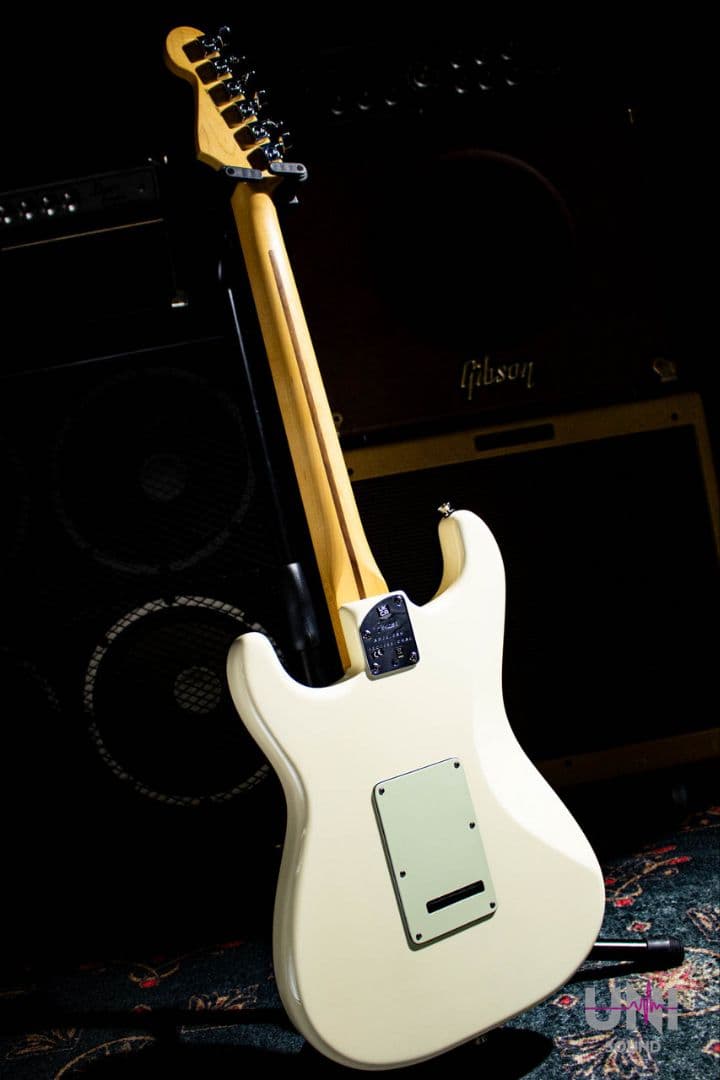 【6末で非公開にします】American Professional II