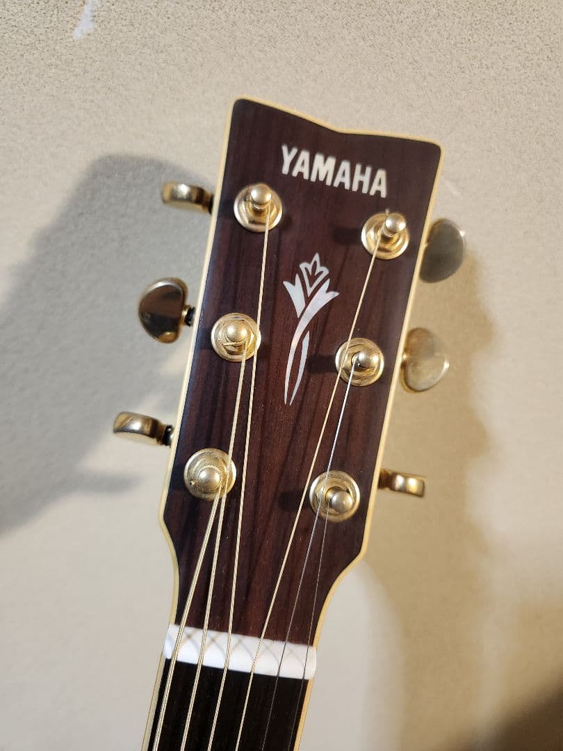 【 YAMAHA DW-8 VRS】 #アコースティックギター