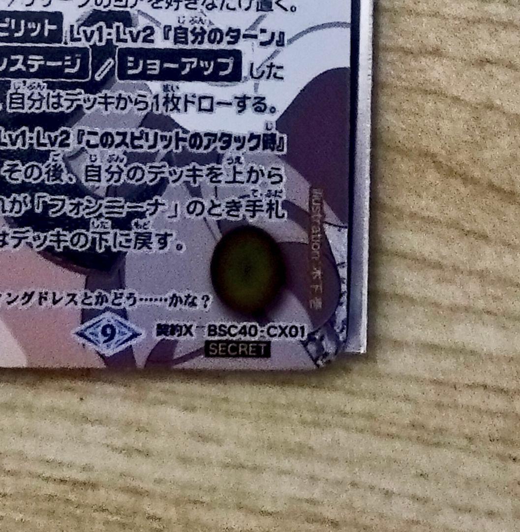 本日まで値下げ [ずっと一緒に] フォンニーナ シークレット