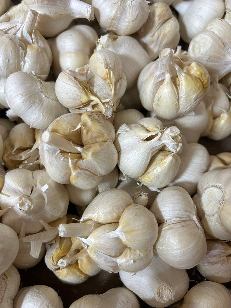 訳ありにんにく4キロ 青森にんにくLサイズ ホワイト六片種にんにく　国産にんにく