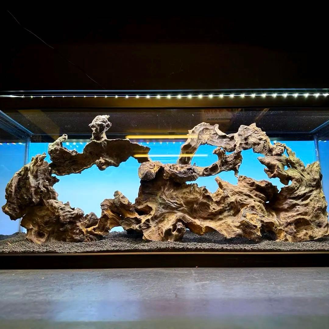 MJW-7214 「特大」ジンジャーウッド　90cm水槽用　天然流木4本セット