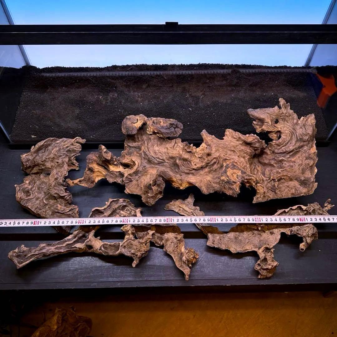 MJW-7214 「特大」ジンジャーウッド　90cm水槽用　天然流木4本セット