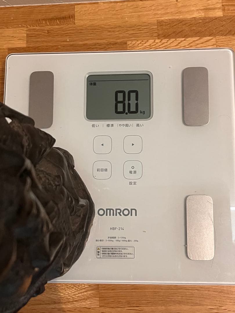 マコンデ彫刻/ウジャマ（黒檀）