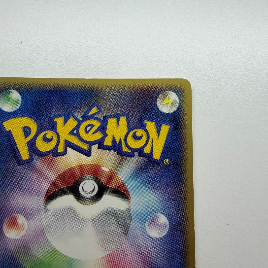 ポケパークのピカチュウ P [PCG-P 043](プロモ48