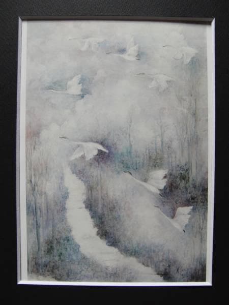 ナンシー ガン、「Trumpeter Swan（白鳥）」、★極希少画集★