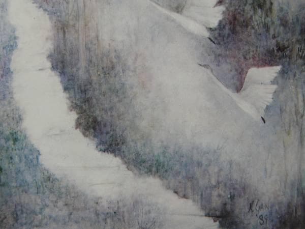 ナンシー ガン、「Trumpeter Swan（白鳥）」、★極希少画集★