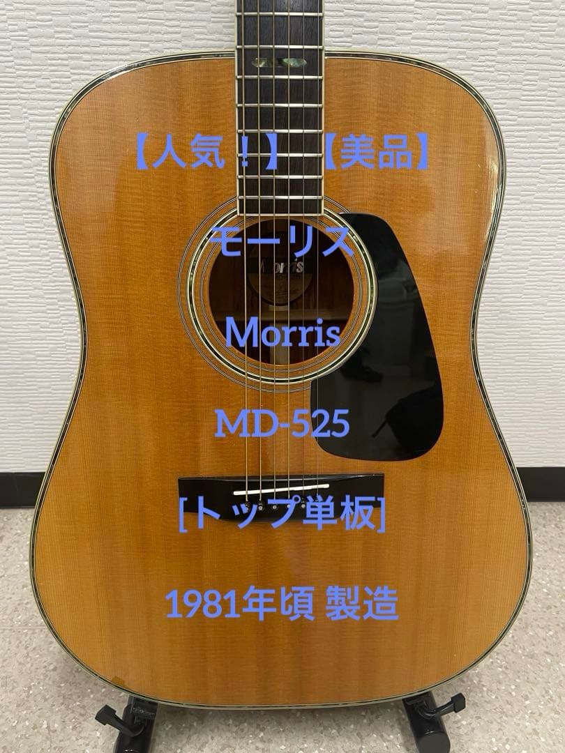 【人気！】【美品】モーリス Ｍorris MD-525 [トップ単板]