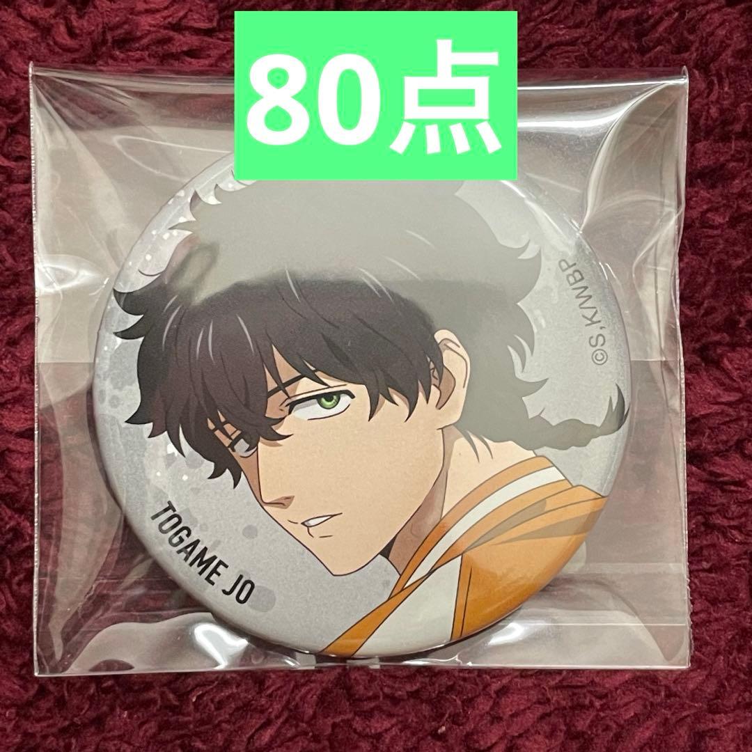 WIND BREAKER 十亀 ベースヤード 缶バッジ 80点セット