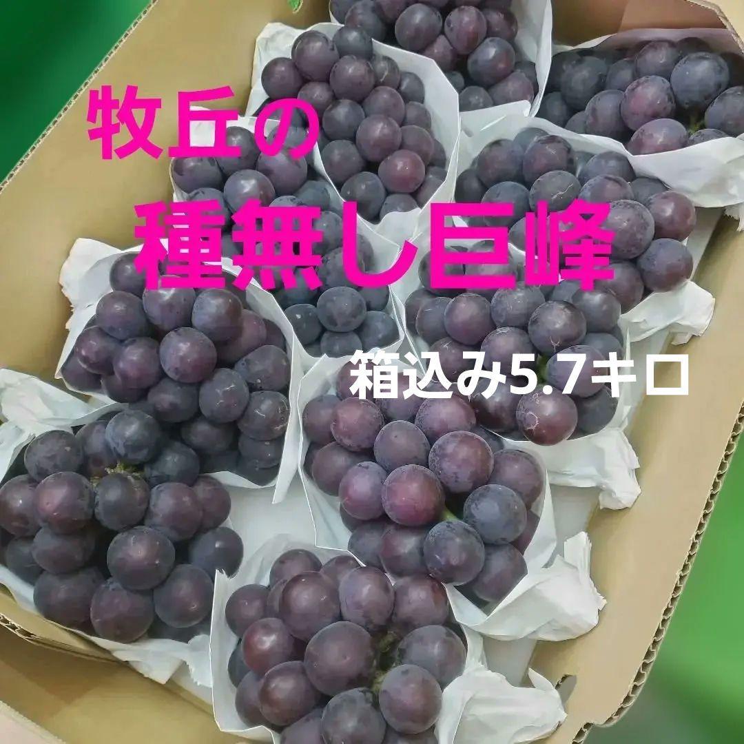 5️⃣ 山梨県産 巨峰 １０房入り 箱込み5.7キロ