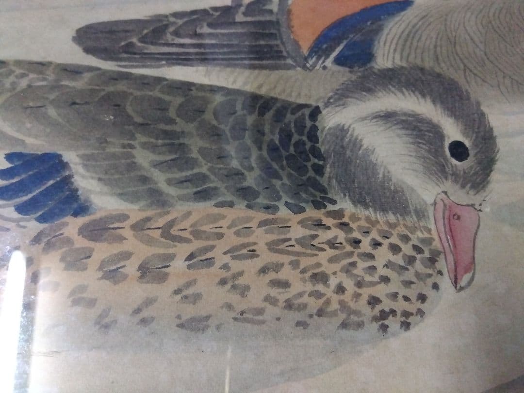 日本画 鴨の絵 黒色フレーム付き