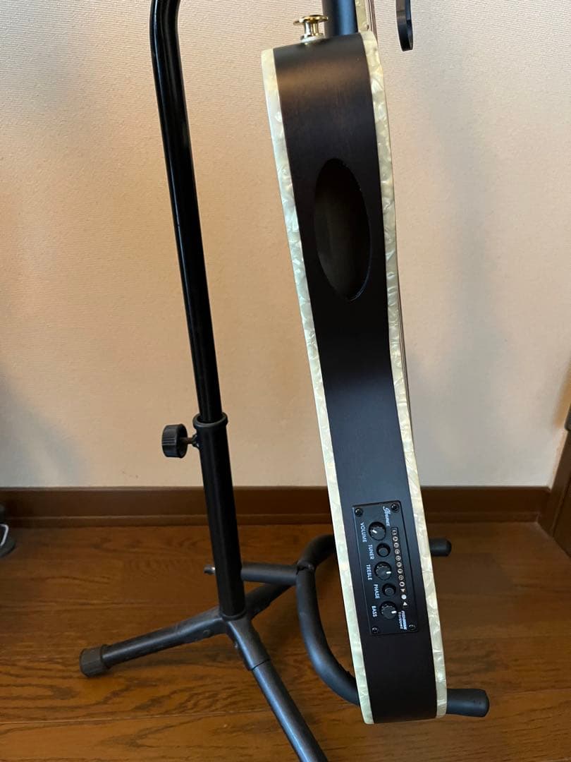 Ibanez TOD10N（Tim Henson シグネチャー / ナイロン）