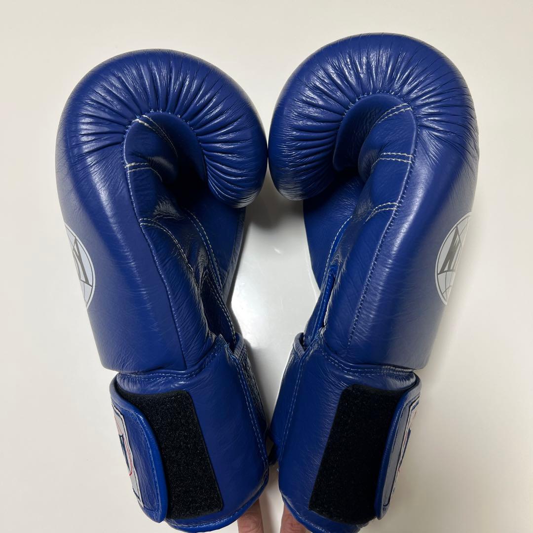 WINDY ボクシンググローブ 16 oz BGVH