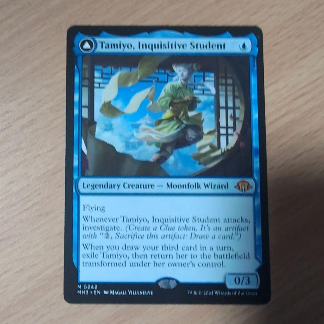 知りたがりの学徒、タミヨウ　英語版　4枚セット