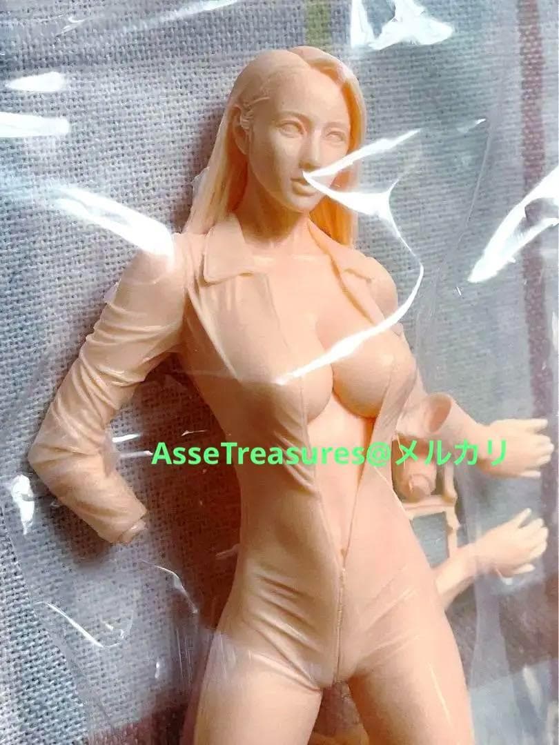 限定品 ハセガワ 1/12 ガールライダー2 フィギュア