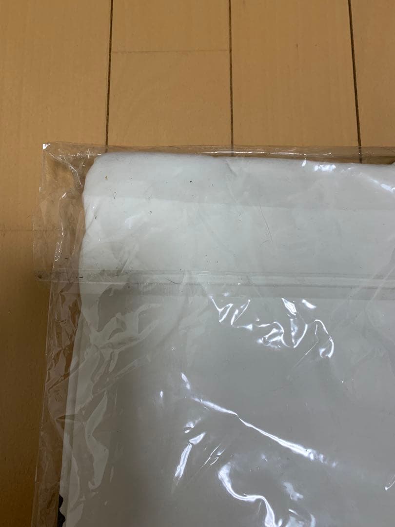 新品未開封　真天地開闢集団ジグザグ　参拝装束〈定番〉（ロングTシャツ）白